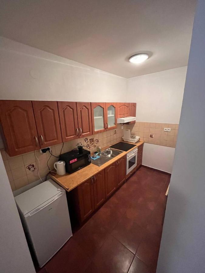 Apartments Spolkova ブルノ エクステリア 写真
