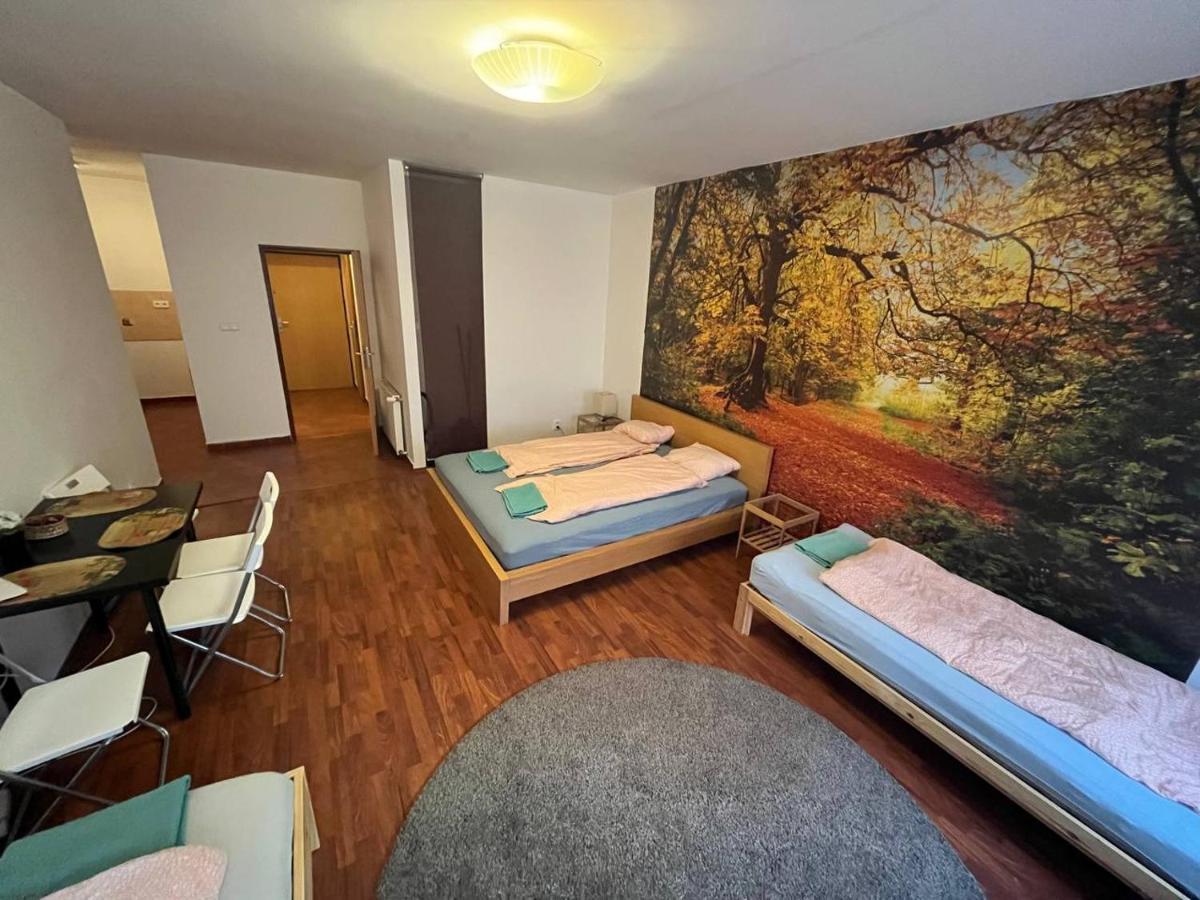Apartments Spolkova ブルノ エクステリア 写真
